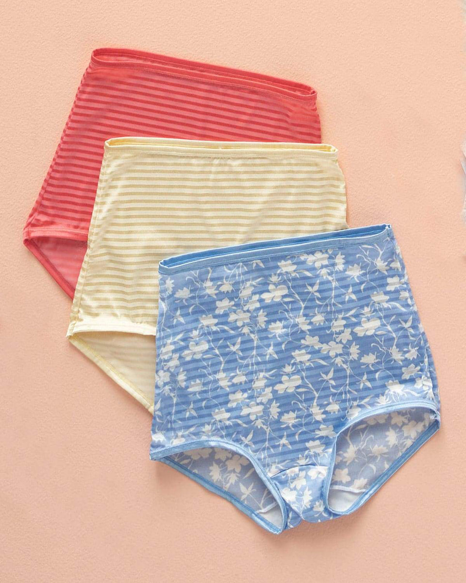 Paquete x 3 panties clásicos con máximo cubrimiento